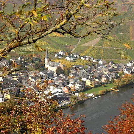 Gaestehaus Manfred Christoffel 3* Kröv