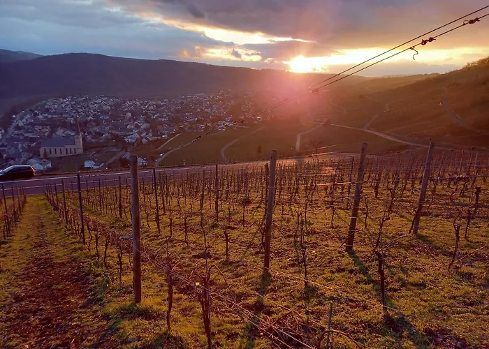 Bed & Breakfast Gaestehaus Manfred Christoffel 3*